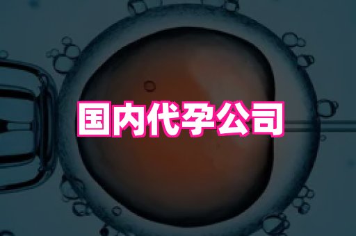 权威助孕网 1