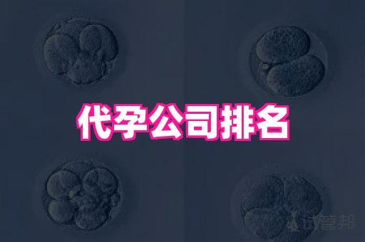 权威助孕网 3
